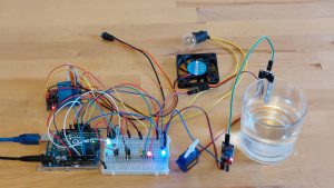 279859776 1950329038504195 2131266368713878395 n