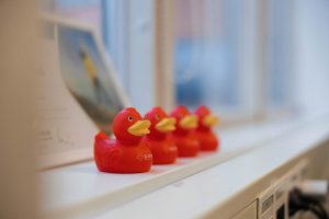 sigma 69 of 439 scaled 1