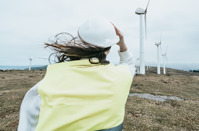 Wind farm renewable energy