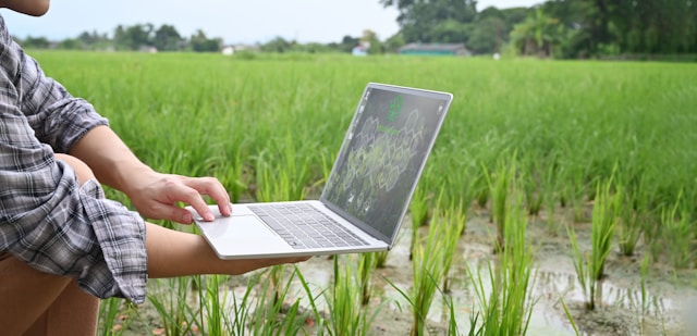 Real-Time Monitoring and Data Collection
